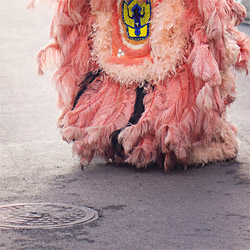 网络手机号免费版